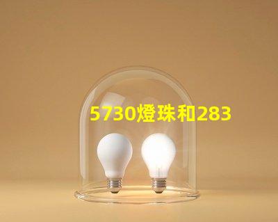 5730燈珠和2835燈珠哪個好？